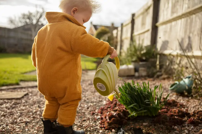 Child gardening.