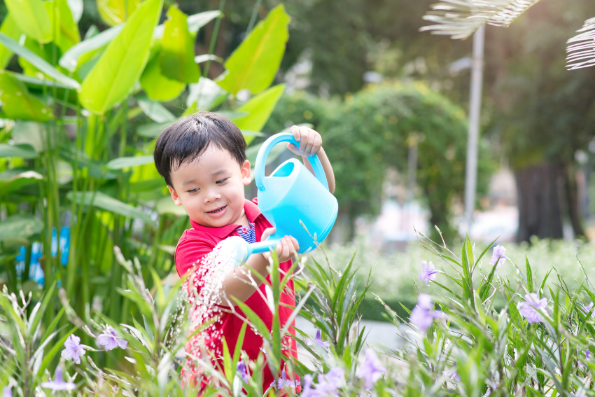 Toddler gardens using a watering pot.